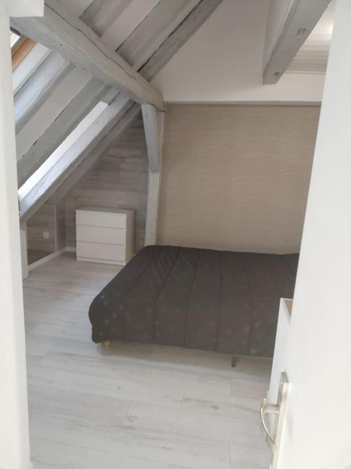 Charmant Appartement Cosy Sélestat Екстериор снимка