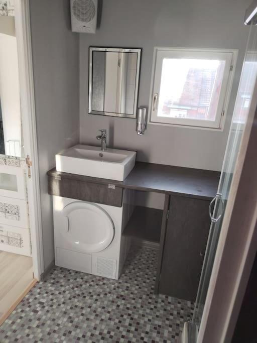 Charmant Appartement Cosy Sélestat Екстериор снимка