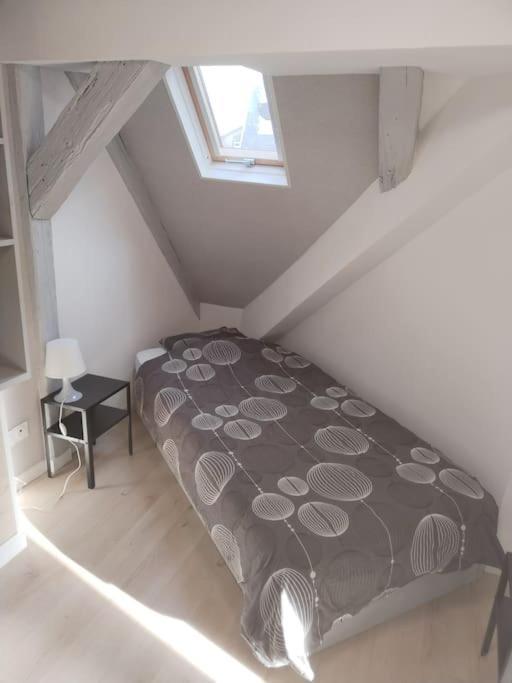 Charmant Appartement Cosy Sélestat Екстериор снимка